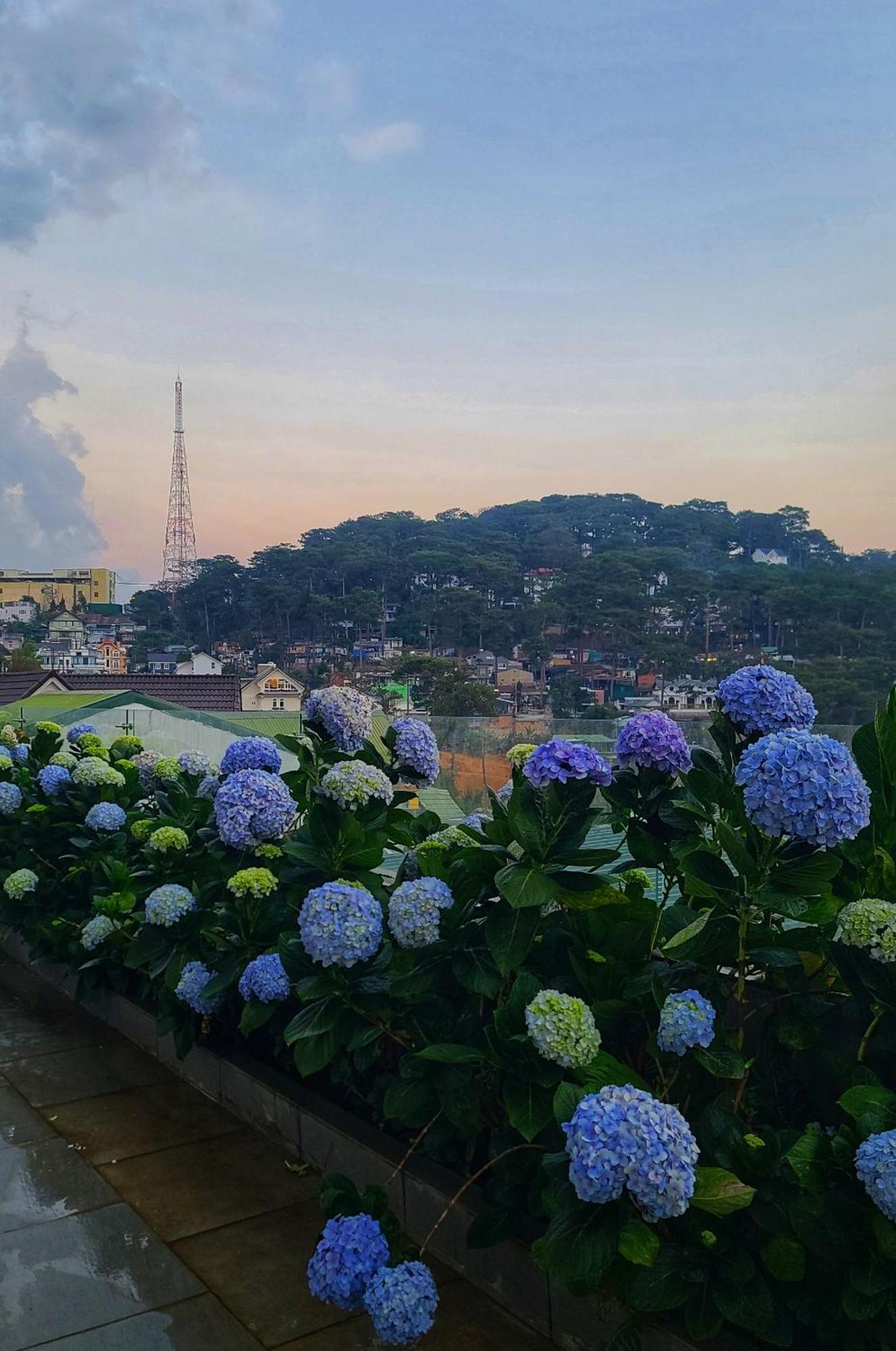 The Luxe Da Lat Hotel Luaran gambar
